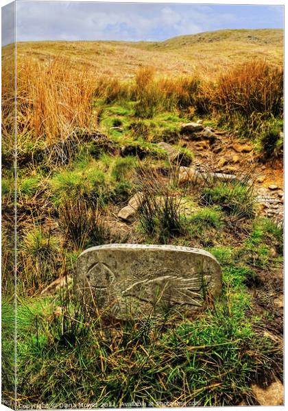 Pendle Hill Way Marker Stone  Canvas Print by Diana Mower