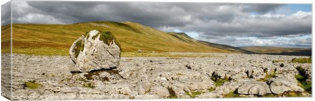 Whernside Erratic Panoramic Canvas Print by Diana Mower