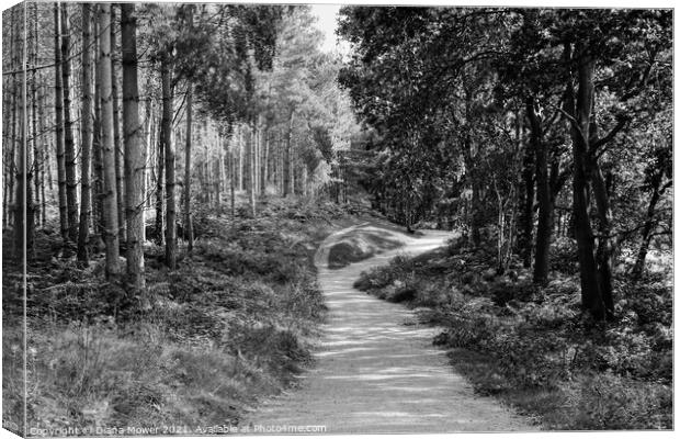 Cannock Chase trails Monochrome Canvas Print by Diana Mower