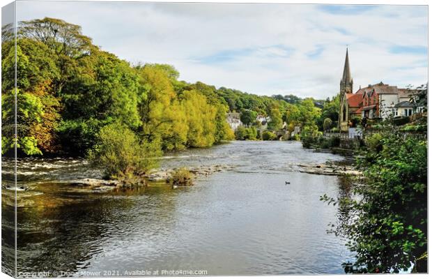 The Dee at Llangollen Canvas Print by Diana Mower