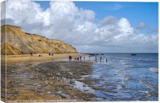 Fossil hunting at the Naze Canvas Print by Diana Mower