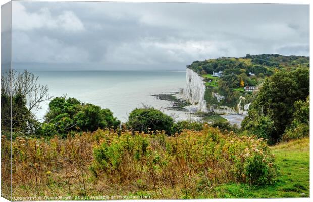 St Margarets Bay from the cliffs Canvas Print by Diana Mower