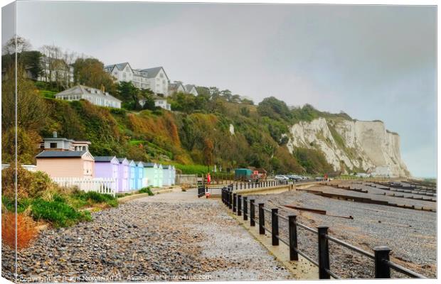 St Margarets Bay Sea front Canvas Print by Diana Mower