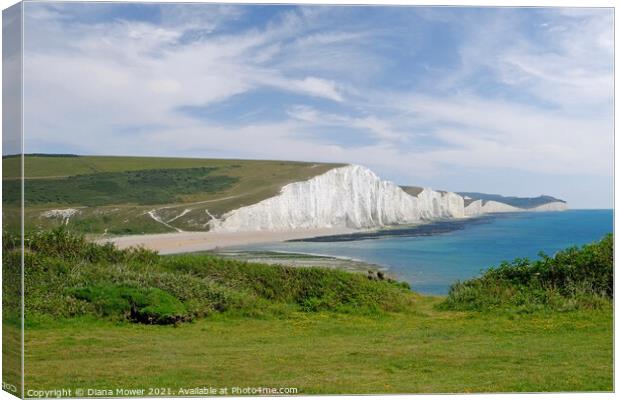 The Seven Sisters Chalk cliffs  Sussex  Canvas Print by Diana Mower
