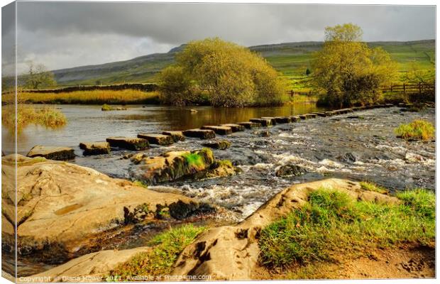 River Doe Stepping stones in the Dales Canvas Print by Diana Mower