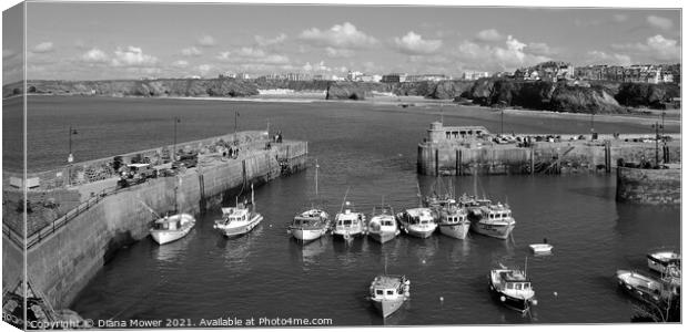 Newquay Harbour Panoramic Canvas Print by Diana Mower