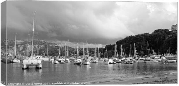 Ilfracombe harbour Panoramic mono Canvas Print by Diana Mower