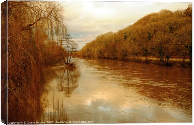 The river Wye in flood  Canvas Print by Diana Mower