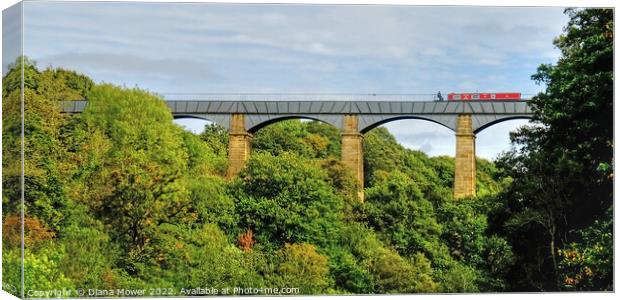 Pontcysyllte Aqueduct Panoramic Canvas Print by Diana Mower
