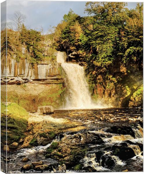 Thornton Force  Canvas Print by Diana Mower