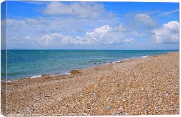 Selsey Bill Beach  Canvas Print by Diana Mower