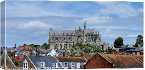 Arundel Cathedral West Sussex Canvas Print by Diana Mower