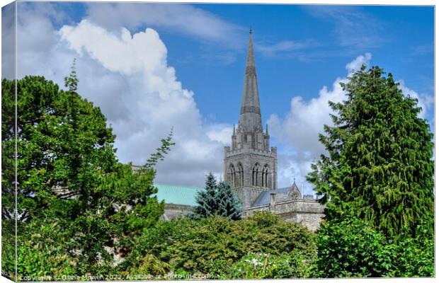 Chichester Cathedral Canvas Print by Diana Mower