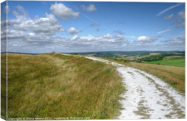 The Trundle Walk Canvas Print by Diana Mower