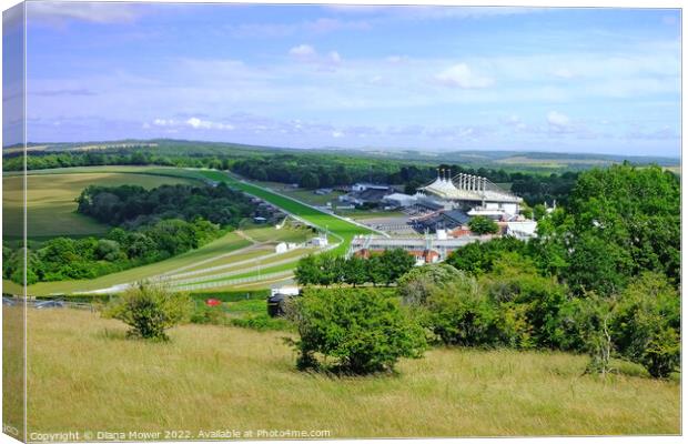 Goodwood from The Trundle Canvas Print by Diana Mower