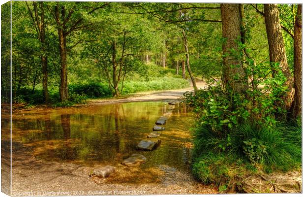 The Cannock Chase Stepping Stones Canvas Print by Diana Mower