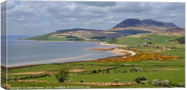 Isle of Arran Panoramic  Coastal view Canvas Print by Diana Mower