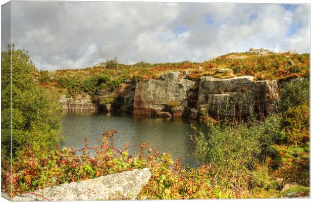 Bodmin Moor Carbilly Tor Disused Quarry  Canvas Print by Diana Mower