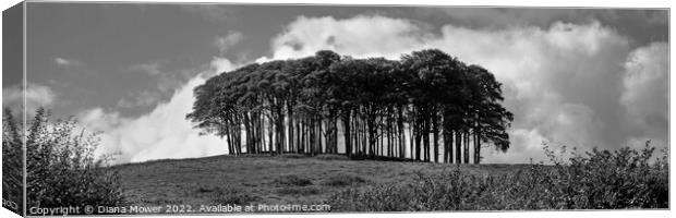 The Nearly Home Trees, coming home trees Panoramic Canvas Print by Diana Mower