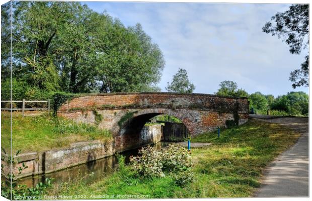 The Old Bridge at Beeleigh Essex Canvas Print by Diana Mower