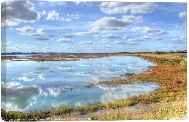 Essex Blackwater Estuary Marshes Canvas Print by Diana Mower