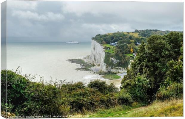 St Margarets Bay From the Cliff tops Canvas Print by Diana Mower