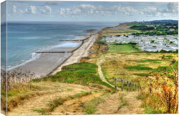 Beeston Regis Norfolk Canvas Print by Diana Mower