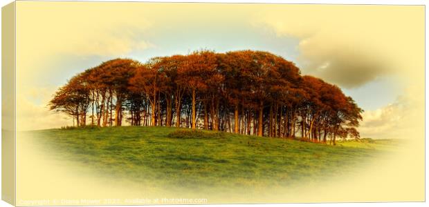   Nearly Home Trees  Golden Hour Canvas Print by Diana Mower