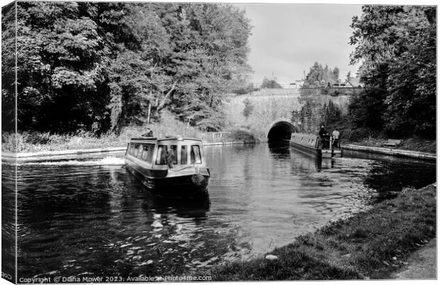 Chirk Canal Tunnel Monochrome Canvas Print by Diana Mower