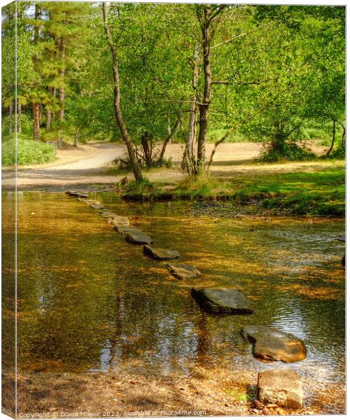 Cannock Chase Stepping Stones Canvas Print by Diana Mower