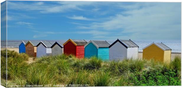 Southwold beach huts on the Dunes Canvas Print by Diana Mower