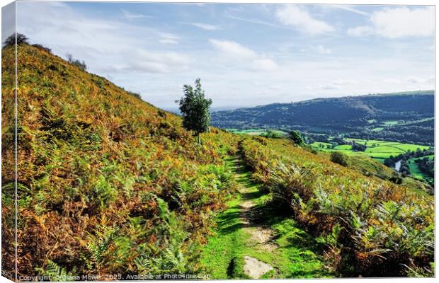Vale of Llangollen from the Hills Canvas Print by Diana Mower