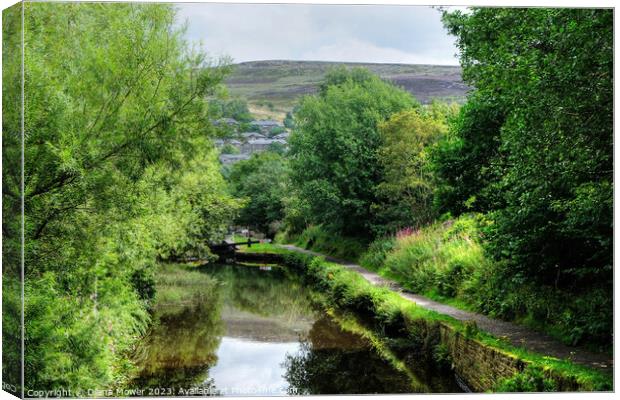 Huddersfield Narrow Canal View Canvas Print by Diana Mower