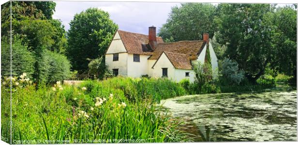 Willy Lotts House Panoramic Canvas Print by Diana Mower