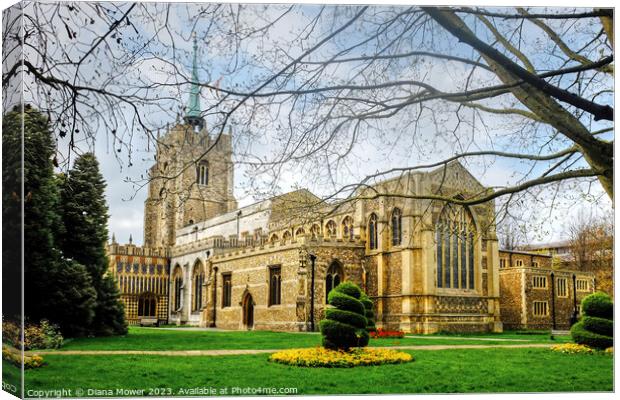 Chelmsford Cathedral  Canvas Print by Diana Mower