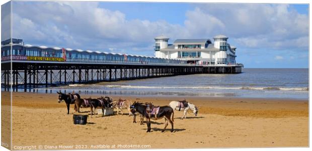 Weston-super-Mare Donkeys on the Beach Canvas Print by Diana Mower