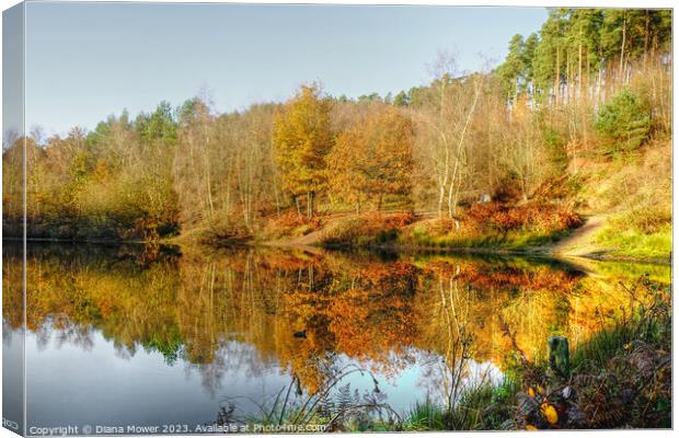 Cannock Chase Autumn Canvas Print by Diana Mower