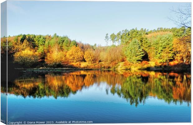 Cannock Chase Autumn Reflections Canvas Print by Diana Mower