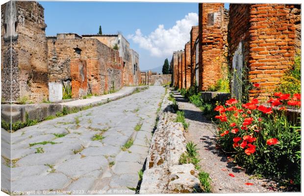 Pompeii Back Street Canvas Print by Diana Mower