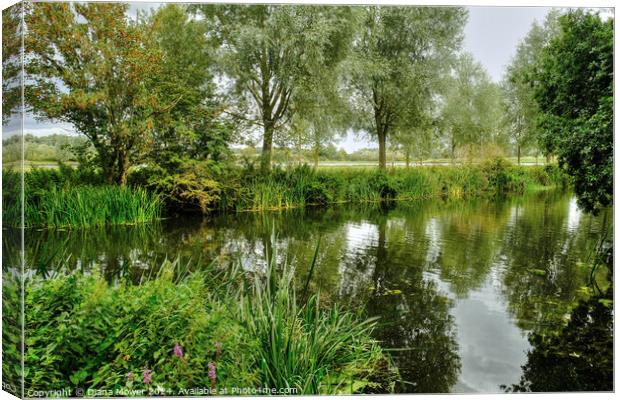 Chelmer and Blackwater River Essex Canvas Print by Diana Mower