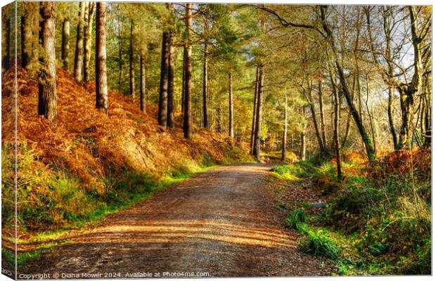 Cannock Chase Autumn Canvas Print by Diana Mower