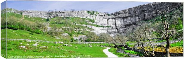 Malham Cove and beck Panoramic View Canvas Print by Diana Mower