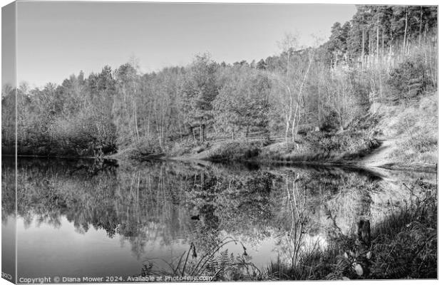 Cannock Chase Autumn Reflections  Canvas Print by Diana Mower