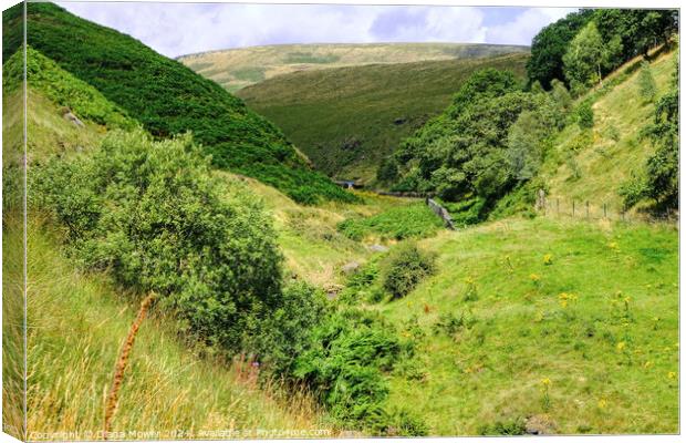 Marsden moor Yorkshire Canvas Print by Diana Mower