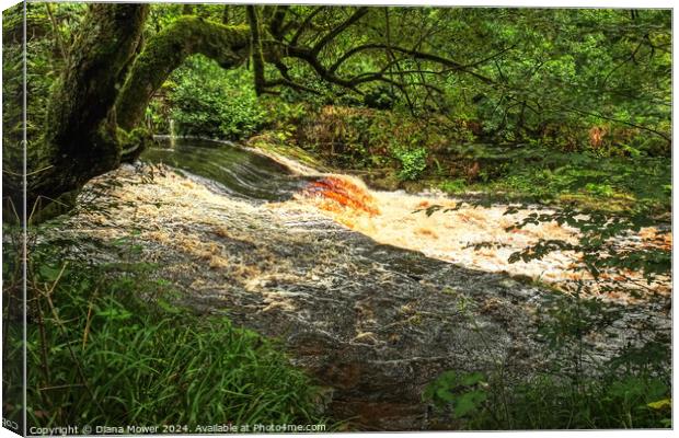Hebden Beck near Hardcastle Crags Canvas Print by Diana Mower
