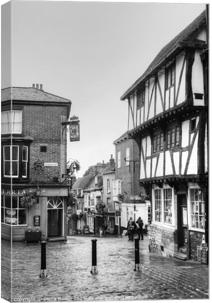 Lincoln Cathedral Quarter Rainy Day Monochrome. Canvas Print by Diana Mower