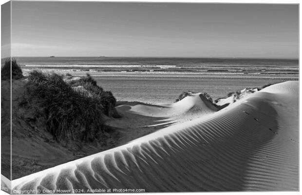 Camber Sands Dunes Monochrome Canvas Print by Diana Mower