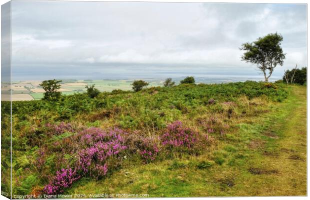  Quantocks and Somerset Levels Canvas Print by Diana Mower