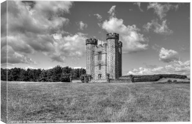 Hiorne Tower West Sussex Monochrome Canvas Print by Diana Mower