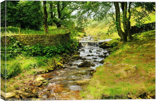  River Colne near Marsden Moor  Canvas Print by Diana Mower